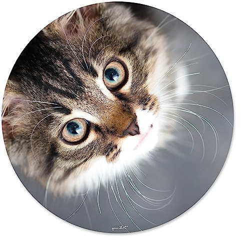 younikat Mauspad Katze I Ø 22 cm rund Mousepad in Standard-Größe rutschfest I für Mädchen Teenager Frauen I Katzenblick I dv421
