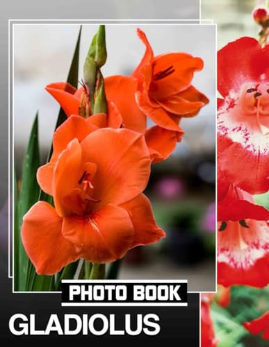 Gladiolus Photo Book: Vibrant Floral Collection Featuring 40 Stunning Images Of Gladiolus Blooms