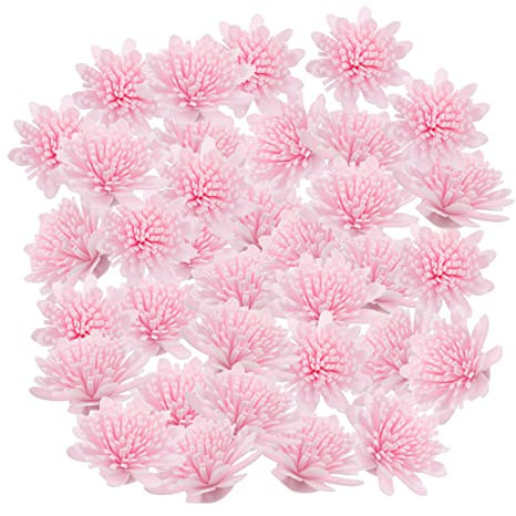 Levemolo 100 Stück Diffusorblumen Aus Pe Aromablumen Duftende Chrysantheme Aromazubehör Für Raumdeko Wohnzimmer Schlafzimmer Badezimmer