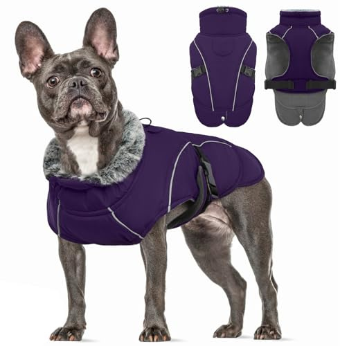 Hundejacke Winter, Winterweste Hundepullover Warm Hundemantel Reflektierend Hunter Mantel Hundepulli(Lila, M)