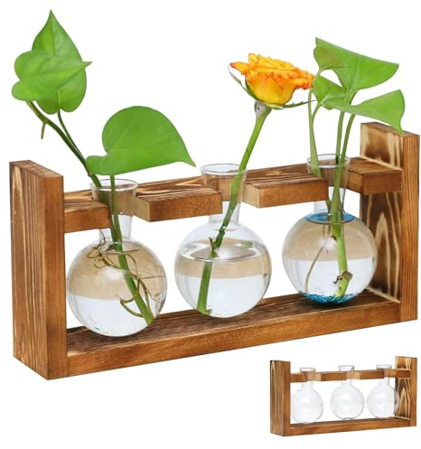 Pflanzen Propagation Station für Wohnzimmer, Kleine Vase Glas Mini Terrarium mit Holz-Rahmen Blumenvase Vintage Deko für Plant Hydrokultur Home Büro Wohnzimmer Schreibtisch Tischdeko Fensterbank