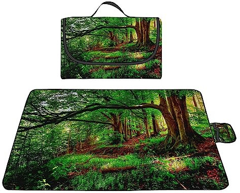 TengYuer Picknickdecke 180x200cm Stranddecke Wasserdicht Sandfrei Isoliert Faltbar Strandmatte mit Tragegriff Outdoor Campingdecke XXL für Camping Parks Strände Picknick Wald