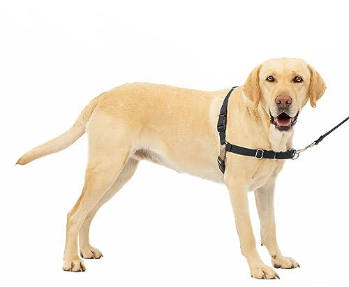 PetSafe Easy Walk dog harness, Black/Silver, large