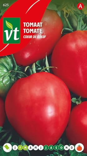 Rindfleisch-Herz-Tomate - Gemüsesamen