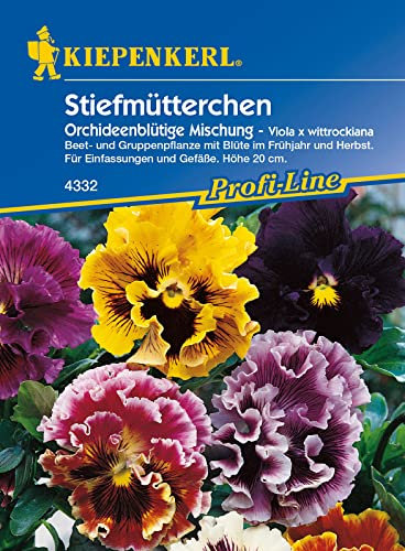 Kiepenkerl 4332 Viola Stiefmütterchen Orchideenblütige Mischung, Portionssaatgut, Inhalt reicht für ca.: 40 Pflanzen (1 Portion)