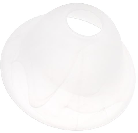 TOPBATHY Abat-jour Verre Suspendu Délicat Pour Lampe De Maison Avec Design Élégant