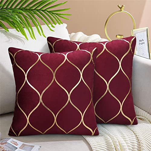 Hanrunsi Cushions Covers Modern Wine Red 45 x 45 cm Velvet Decorative Pillows Covers Soft Square Throw Pillow Case for Patio Garden Blench Living Room Sofa with Invisible Zipper Pack of 2