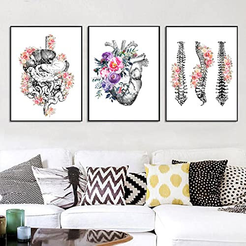Organo Anatomico Poster D'Epoca Anatomia Umana Stampa Su Tela Colonna Vertebrale Cuore Anatomia Polmonare Poster 3 Pezzi Immagine Di Arte Della Parete Decorazione Della Stanza Medica 50Cmx70Cm Senza T