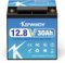 KEPWORTH LiFePO4 30Ah 12V Batterie, Lithium Akku mit BMS, Wiederaufladbar Deep Cycle,Perfekt für Backups, Hausalarm