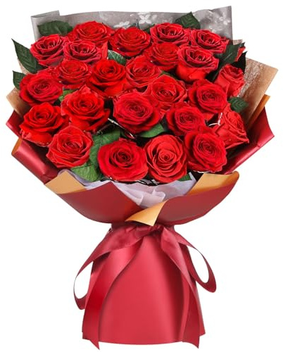 ADDWel 24 Preserved Red Roses Bouquet - Real Roses That Last 3+ Years, Romantic Anniversary & Birthday Gifts for Women, Wife, Girlfriend - Two Dozen Infinity Flowers for Delivery