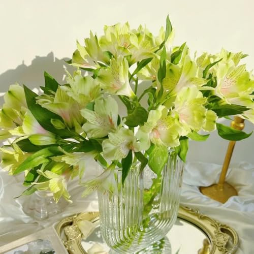 Semi di Alstroemeria - semi esotici autunnali Alstroemeria ibrida - semi di varietà antiche, decorazioni floreali Le da giardino sono 80pcs
