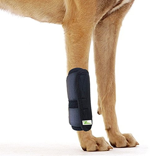 RockPet Gelenkbandage für das Vorderbein ihres Hundes (XXS/XS)
