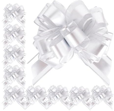 Chanumetal 10 Stück Geschenkschleife Große, Bunt Schleifen Deko, Durchmesser 16 cm, Große Schleife Matt Autoschleife für Hochzeit Geburtstag Weihnachten (Silber)