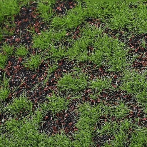 Veemoon Artificial Moss Mat Fake Grass Rug, DIY Synthetic Turf Lawn Plants Lichen Landscape Artificial Grass Rug Lawn Carpet for Wedding Backyard Balcony Indoor Outdoor Decor
