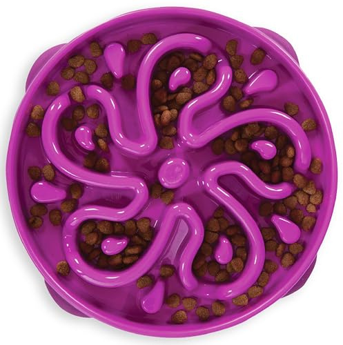 Outward Hound Slow Feeder Dog Bowl - Makes Meal Time Fun, Slows Down Eating, Promotes Healthy Digestion, Prevents Bloat | Slip Resistant and Durable, Food and Water Bowl, Size Large (Purple)