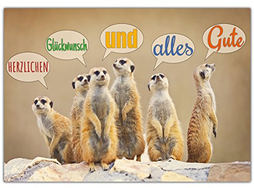 BREITENWERK A4 XXL Glückwunschkarte ERDMÄNNCHEN mit Umschlag - edle Klappkarte geeignet für alle Anlässe wie Geburtstag Hochzeit Jubiläum Karte