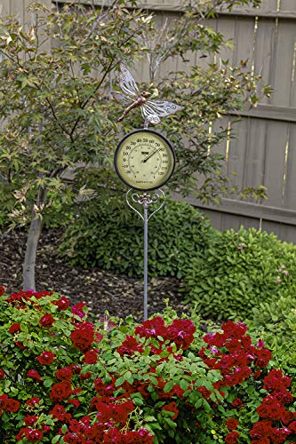 Poolmaster 54583 Außenthermometer Gartenstecker Libelle, Multi