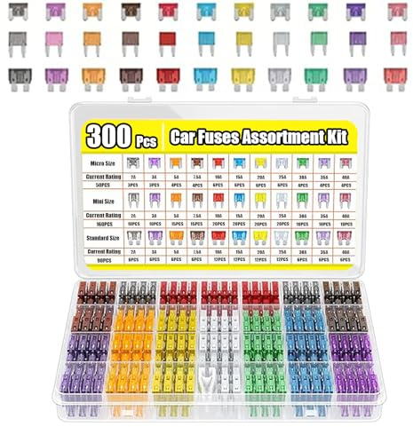 300PCS Car Fuses Assorted Kit: 160 Mini & 90 Standard & 50 Micro Blade Fuses with Puller - Car Fuse Set for Caravan Truck Rv Motorcycle - 2A 3A 5A 7.5A 10A 15A 20A 25A 30A 35A 40A Assorted