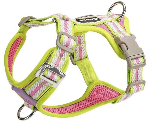 Harnais Ajustable spécialement conçu pour Les Boxer. Ce Harnais Anti-Traction de Type Gilet est doté d'un Anneau en D métallique et d'un Tissu en Maille Douce et Respirante. F M
