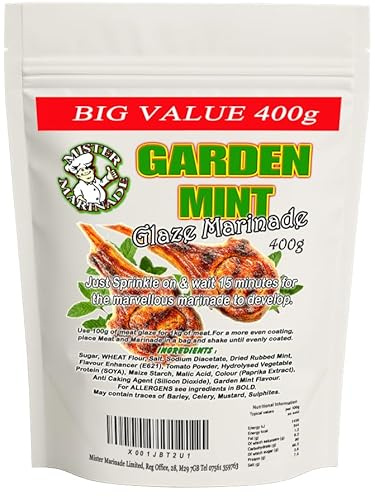 MISTER MARINADE Meat Glaze Marinade Big Value 400g BBQ Seasoning (Garden Mint)