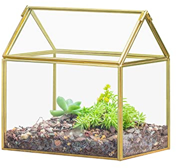 NCYP 15,5x11x16 cm Kleines Geometrische Glas-Terrarium mit Deckel, Handmade Pflanzencontainer, Goldfarbener Blumentopf für Pflanzen, Garten Tischdekoration (Ohne Pflanzen,Nicht wasserdicht)