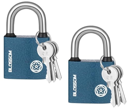 Invalidism Iron Padlock - 2 Pack, 38 MM, Heavy Duty, Safety Lock for Shed, Warehouse, Fence, Garage, Garden, Gym, Locker