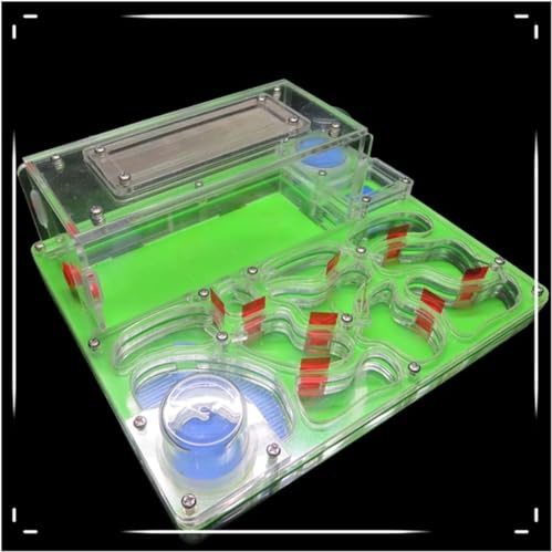 ININOSNP Acrylsäure-Ameisennest-Burg DIY Ameisenfarm Acryl Ameisenvilla Set Doppelter Wasserturm Ameisennest Großer Raum Ameisenökologie Werkstatt(Green)