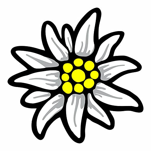 Generisch Aufkleber | Alpen Edelweiss Bayern | 8 cm x 8 cm Autoaufkleber | Made IN Germany