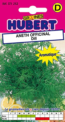 Graines d'Aneth Officinal Dill - 1 gramme