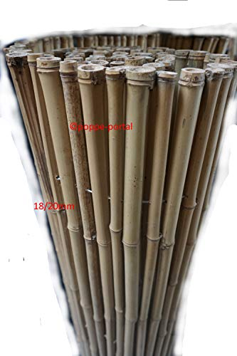 poppe-portal Bambuszaun Rollzaun Bambusmatte Gartenzaun Heckenzaun Lattenzaun (Bambusrollzaun, 18/20mm 120cm H x 250cm B)