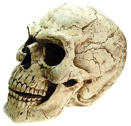 Joh.vogler Figuren Shop Gmbh XXL Extérieur Crâne 47 CM Statue Figurine Jardin Tête de Mort Crâne pour Extérieur