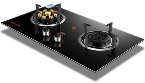 THEGA Stufa A Gas Ventilata, Fornello A Gas da Interno con 2 Fuochi, Pannello in Vetro Temperato, Fiamma Alta Temporizzata A 9 cavità da 5,0 KW/5,2 KW, Adatto per Gas Naturale/GPL(LPG)