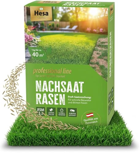 Hesa Nachsaatrasen Professional Line, 1 kg für 40 m², RSM 3.2, schnellkeimende Premium Rasennachsaat von Frühling bis Herbst, Rasenreparatur in Profiqualität