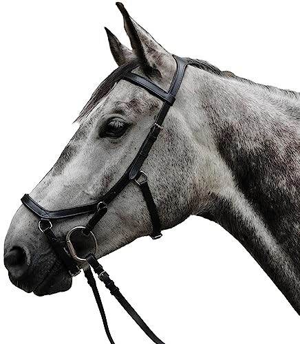 Brama West Trensenzaum Anatomic Pferde-Trense aus Rindsleder anatomisch mit Strasssteinen, Gr. Cob