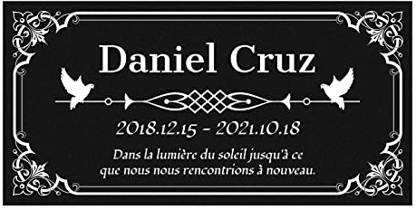 HDSD Plaque Funéraire Personnalisées pour Animaux de Compagnie, Chats, Chiens, Proches-Pierre Tombale Personnalisable-Objet Personnalisable-15x30 cm (Dessin 2)