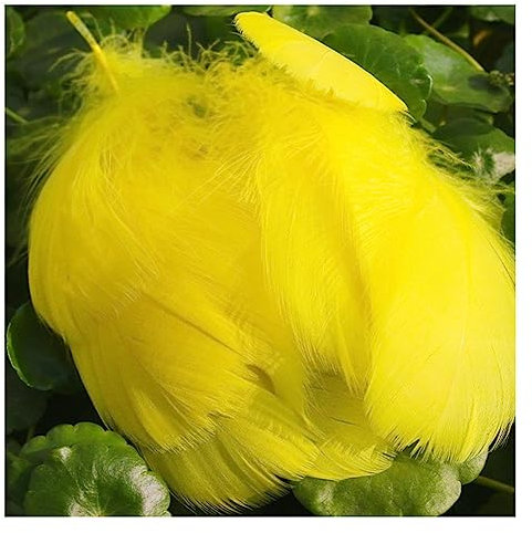Yurosiay 100 Stück Bunt Federn Natürliche Federn Handwerk Gänsefeder Bunt Federn Deko Federn zum Basteln Flaumfedern Bastelfedern Deko für DIY Ohrring Kopfschmuck Traumfänger 6-12cm Gelb