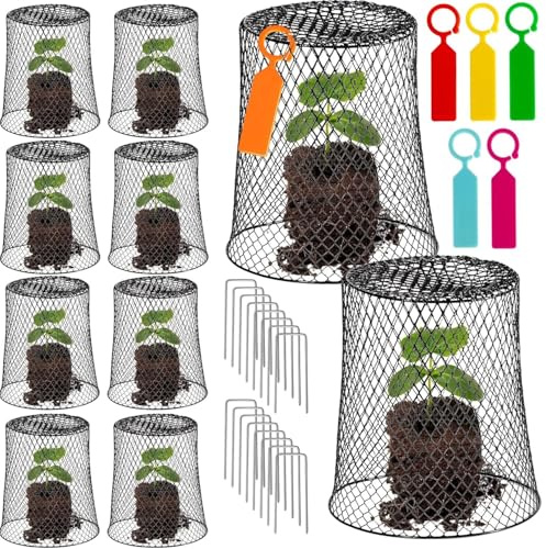 KAHEIGN 12 Pièces Cloches Grillagées pour Plantes, 23CM x 23CM Cage de Protection Métallique de Jardin avec 40 Piquets et 30 Étiquettes pour Éloigner Lapins Poulets Écureuils Oiseaux et Autres Animaux