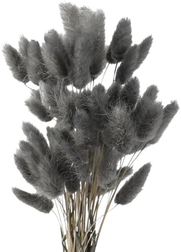 TXDAMAI Torkat pampasgräs, kaninsvans gräs 60 stycken naturliga torkade blommor, bukett, dekoration, konstgjorda stora torkade blommor, pampasgräs för inredning, fotografering, bröllop, grå