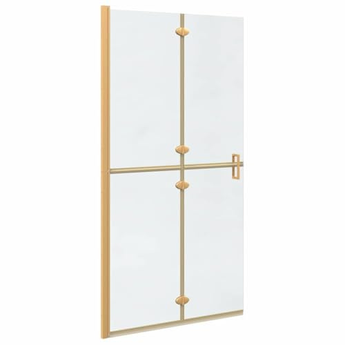 Canditree Paroi de Douche à L'italienne, Mur de Douche Walk-In 100 x 190 cm | Porte de Douche Pliante en Verre Trempé, Doré