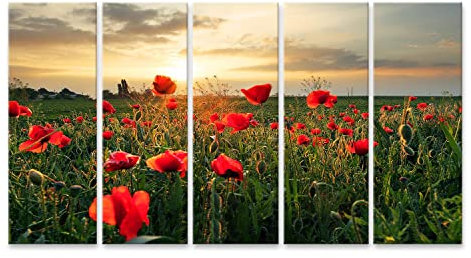 bilderfelix® Bild auf Leinwand Mohnblumen Feldblume bei Sonnenuntergang Wandbild, Poster, Leinwandbild PYC