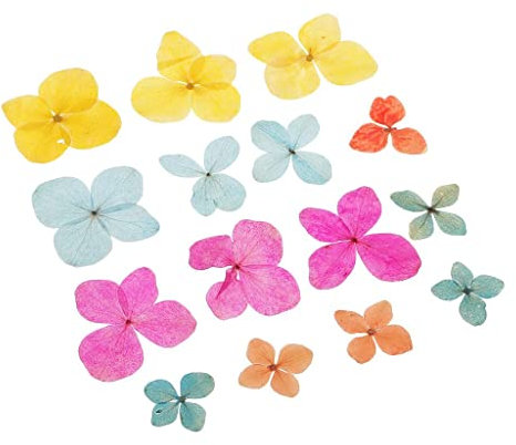 misppro Lot de 15 hortensias séchés pressés pour bijoux en résine, loisirs créatifs, cartes