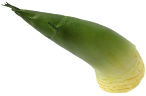 DIKACA plastiktisch künstliches Gemüsemodell Kunstgemüse Kirschblütendekor Künstliche Bambussprossen in Frühlingsdekorationen Simulation von Bambussprossen im Frühlingsmodell