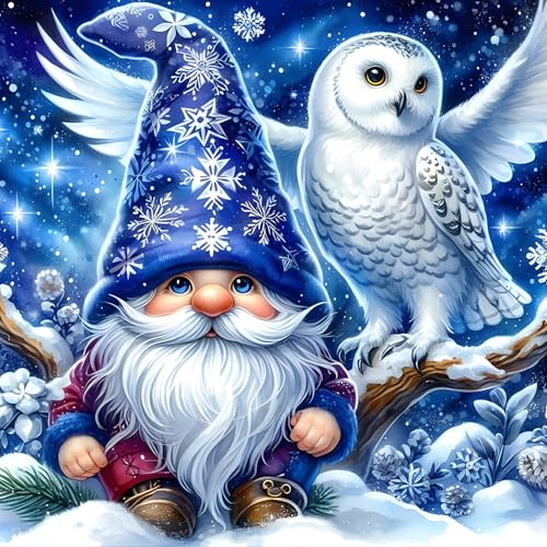 QINRUBB DIY Gnome Diamond Painting Erwachsene, 5D Schneeeule Diamant Painting Bilder Anfänger, Runder Eule Vollbohrer Diamanten Malerei Stickerei Kreuzstich Geschenke Home Wand Dekor 30x30cm