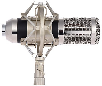 YolieraArt B M-800 - Kit microfono professionale a condensatore, microfono per registrazione da studio con supporto antiurto a forbice e filtro antipop per trasmissioni podcasting Voice Over