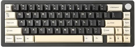 YUNZII AL66 Wireless Mechanical Keyboard,65% Knob Control Aluminum Gaming Keyboard Bluetooth/2.4G/Wired Hot Swappable Pre-lubed Switches,Gasket Mounted RGB Keyboard for Win/Mac(Milk Switch, Black)
