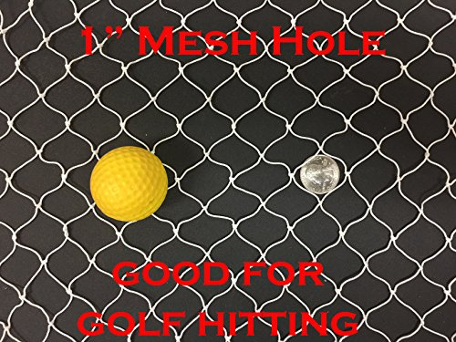 10ft x 25ft, Golf Netting Fish Fishing Net for Golf Backstop, Hockey, La Crosse, Barrier, Sports (10ft x 25ft)