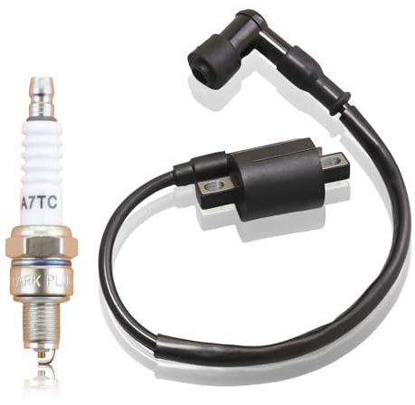 Mtanlo Bobina de Encendido de Scooter, Bobina de Encendido,Booster Bobina de Encendido de Motocicleta para la Mayoría de Ciclomotores Scooter de MTB 150CC 200CC 250CC, Bobina de Encendido de Alta