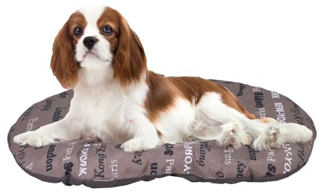 FERPLAST - Cuccia per cani e gatti - Cuscino per cani di medie dimensioni - Materassino per cani - Tappetino per cucce e auto - Morbido letto per cani - Relax, 65 x 42 CM, MARRONE