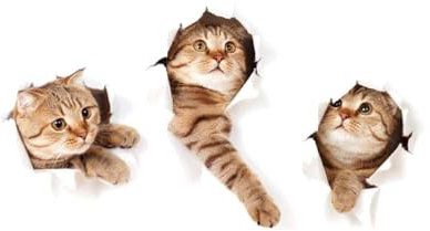 jojofuny 3d Katzen Wandaufkleber Aus Pvc Abnehmbare Wanddekoration Für Kinderzimmer Farbecht Und Wiederverwendbar Selbstgemacht Heimdeko Für Glatte Oberflächen
