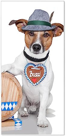 banjado® Magnettafel 37 x 78cm / Magnetwand aus Metall/Magnetpinnwand als Memoboard/Pinnwand Magnettafel Küche, Büro, Kinderzimmer inkl. 4 Magnete & Montageset - Motiv Bayer Jack Russel